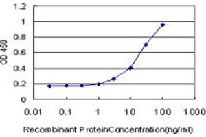 Detection limit for recombinant GST tagged C19orf10 is approximately 1ng/ml as a capture antibody. (C19orf10 抗体  (AA 1-173))