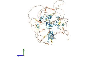 Protein Structure (PS) image for Zinc Finger Protein, Multitype 1 (ZFPM1) (AA 1-1006) protein (His tag) (ABIN7553913)