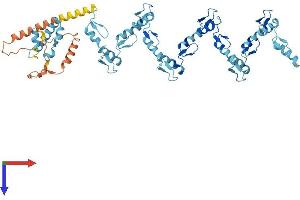 AlphaFold protein structure predicition of Human Recombinant ZNF737 Protein, UniprotID O75373