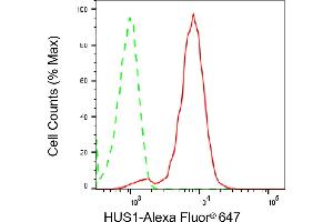 Flow cytometric analysis of HUS1 expression in HepG2 cells using HUS1 antibody (ABIN7799007), 1:2,000). (Recombinant HUS1 抗体)