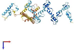 ZNF383 Protein (AA 1-475) (His tag)