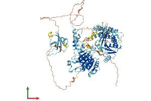 Protein Structure (PS) image for DNA repair and recombination protein RAD54B (RAD54B) (AA 1-910) protein (His tag) (ABIN7555144)