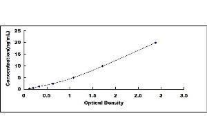 Typical standard curve (TIMP1 ELISA 试剂盒)