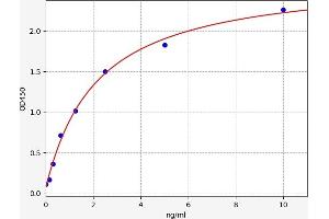 Typical standard curve (CA2 ELISA 试剂盒)