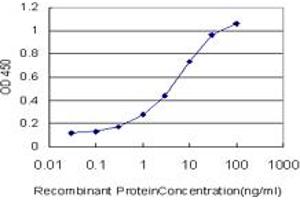 Detection limit for recombinant GST tagged BOLL is approximately 0. (BOLL 抗体  (AA 185-283))