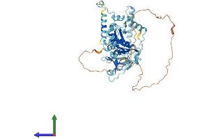Protein Structure (PS) image for tRNA Splicing Endonuclease 54 (TSEN54) (AA 1-526) protein (His tag) (ABIN7555452)
