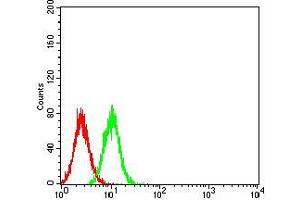Flow cytometric analysis of *** cells using Hela mouse mAb (green) and negative control (red). (TdT 抗体  (AA 52-192))