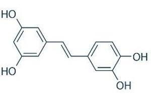 Molecule (M) image for Piceatannol (ABIN7233277)