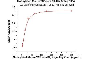 ELISA image for Transforming Growth Factor, beta Receptor II (70/80kDa) (TGFBR2) (AA 24-184) (Active) protein (His tag,AVI tag,Biotin) (ABIN6973279)