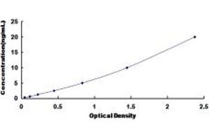 Typical standard curve (CYP2B6 ELISA 试剂盒)