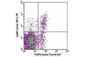 Flow Cytometry (FACS) image for anti-Leucine Rich Repeat Containing 32 (LRRC32) antibody (PE) (ABIN2662729) (LRRC32 抗体  (PE))