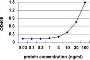 Sandwich ELISA detection sensitivity ranging from 1 ng/ml to 100 ng/ml. (TK1 (人) Matched Antibody Pair)