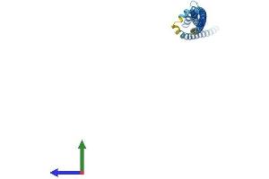 Protein Structure (PS) image for B-Cell Receptor-Associated Protein 29 (BCAP29) (AA 1-241) protein (His tag) (ABIN7552556)