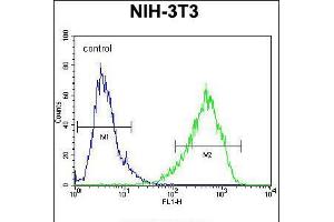 Flow cytometric analysis of NIH-3T3 cells (right histogram) compared to a negative control cell (left histogram). (HOMEZ 抗体  (N-Term))