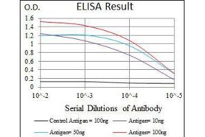 Black line: Control Antigen (100 ng), Purple line: Antigen(10 ng), Blue line: Antigen (50 ng), Red line: Antigen (100 ng), (PLK1 抗体  (AA 331-508))