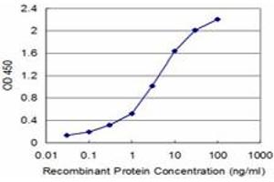 Detection limit for recombinant GST tagged FXN is approximately 0. (Frataxin 抗体  (AA 91-200))