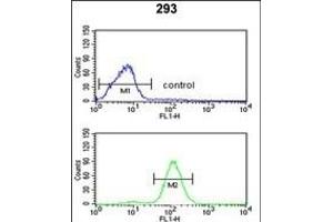 CAT Antibody (Center) (ABIN652564 and ABIN2842380) flow cytometric analysis of 293 cells (bottom histogram) compared to a negative control cell (top histogram). (Catalase 抗体  (AA 152-180))