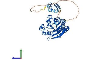 Protein Structure (PS) image for tyrosyl-DNA phosphodiesterase 2 (TDP2) (AA 1-362) protein (His tag) (ABIN7555873)