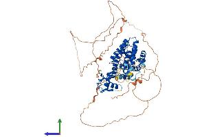 Protein Structure (PS) image for Estrogen Receptor 1 (ESR1) (AA 1-599) protein (His tag) (ABIN7562942)