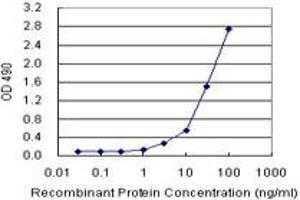 Sandwich ELISA detection sensitivity ranging from 1 ng/mL to 100 ng/mL. (IL13 (人) Matched Antibody Pair)
