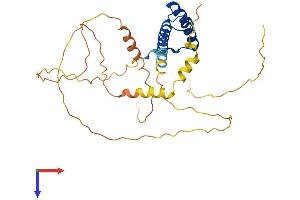 PHOX2B Protein (AA 1-314) (His tag)