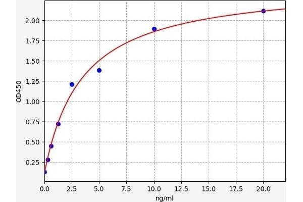 PYGM ELISA 试剂盒