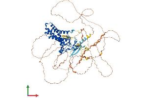 Protein Structure (PS) image for Zinc Finger, DHHC-Type Containing 8 (ZDHHC8) (AA 1-765) protein (His tag) (ABIN7556086)