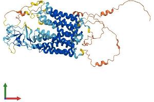 Protein Structure (PS) image for Solute Carrier Organic Anion Transporter Family, Member 3A1 (SLCO3A1) (AA 1-710) protein (His tag) (ABIN7555514)