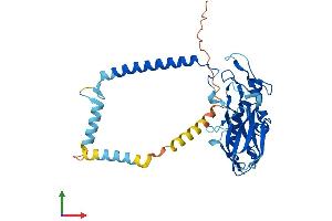 Protein Structure (PS) image for ATPase, Na+/K+ Transporting, beta 4 Polypeptide (ATP1B4) (AA 1-357) protein (His tag) (ABIN7552373)
