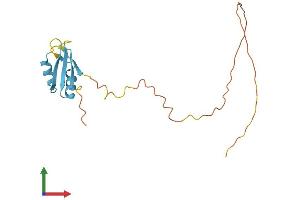 Protein Structure (PS) image for serine/arginine-Rich Splicing Factor 3 (SRSF3) (AA 1-164) protein (His tag) (ABIN7546464)
