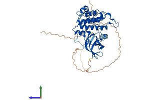 AlphaFold protein structure predicition of Human Recombinant CSNK1G2 Protein, UniprotID P78368