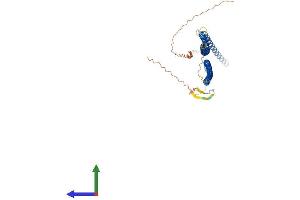 AlphaFold protein structure predicition of Human Recombinant KRT26 Protein, UniprotID Q7Z3Y9