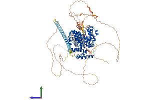 Protein Structure (PS) image for TBC1 Domain Family, Member 10B (TBC1D10B) (AA 1-808) protein (His tag) (ABIN7544231)