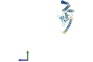 AlphaFold protein structure predicition of Mouse Recombinant Cenpk Protein, UniprotID Q9ESN5