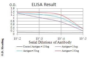 Fig. (CBX1 抗体  (AA 1-185))