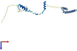AlphaFold protein structure predicition of Human Recombinant C22orf23 Protein, UniprotID Q9BZE7
