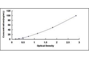 Typical standard curve (Apolipoprotein D ELISA 试剂盒)