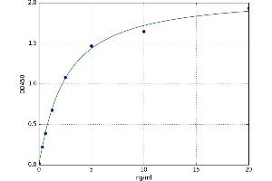 A typical standard curve
