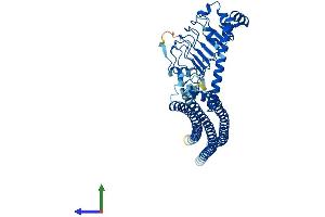 Protein Structure (PS) image for EPS8-Like 1 (EPS8L1) (AA 1-523) protein (His tag) (ABIN7547146)