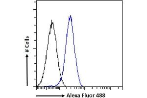 (ABIN334406) Flow cytometric analysis of paraformaldehyde fixed A549 cells (blue line), permeabilized with 0. (GADD45G 抗体  (Internal Region))