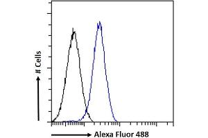 (ABIN334406) Flow cytometric analysis of paraformaldehyde fixed A549 cells (blue line), permeabilized with 0. (GADD45G 抗体  (Internal Region))