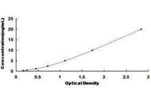 ELISA image for Collagen, Type XII, alpha 1 (COL12A1) ELISA Kit (ABIN432565)