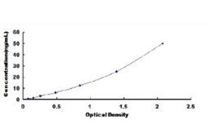 Typical standard curve (PKLR ELISA 试剂盒)