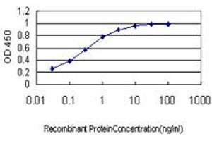 ELISA image for anti-Glucocorticoid Modulatory Element Binding Protein 1 (GMEB1) (AA 467-563) antibody (ABIN564661)