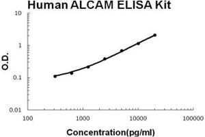 Human ALCAM PicoKine ELISA Kit standard curve (CD166 ELISA 试剂盒)