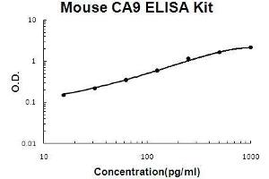 Mouse CA9 PicoKine ELISA Kit standard curve (CA9 ELISA 试剂盒)