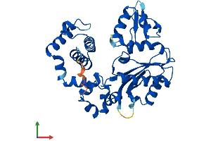 Protein Structure (PS) image for Polymerase (DNA Directed), beta (POLB) (AA 1-335) protein (His tag) (ABIN7547256)