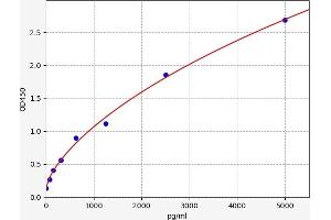 Typical standard curve (ATP1A3 ELISA 试剂盒)