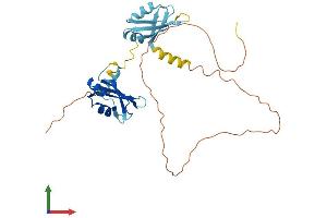 Protein Structure (PS) image for Heterogeneous Nuclear Ribonucleoprotein D-Like (HNRPDL) (AA 1-301) protein (His tag) (ABIN7556372)