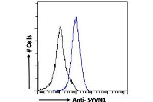 ABIN1590085 Flow cytometric analysis of paraformaldehyde fixed A431 cells (blue line), permeabilized with 0. (SYVN1 抗体  (Internal Region))